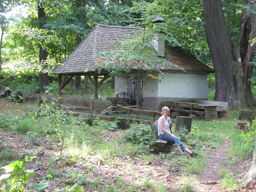 Historisches Foto der erhaltenen Gerichtsstätte in Volkmannrode mit der Rügehütte